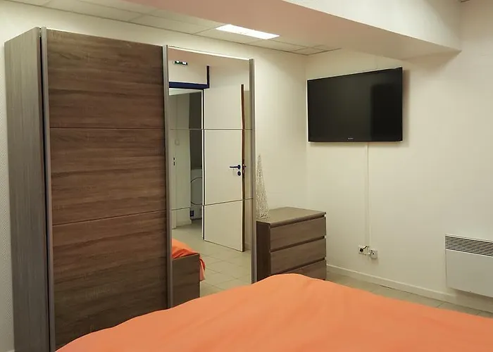 Grand Format Apartment Colmar