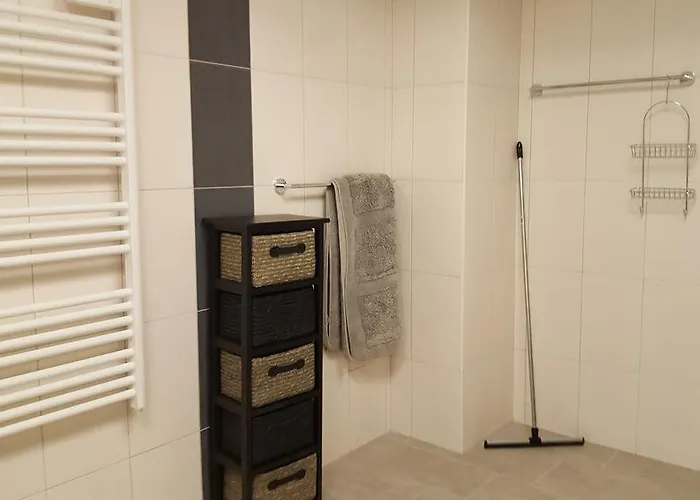 Apartment Grand Format Colmar